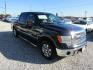2014 Blue Ford F-150 FX2 SuperCrew 5.5-ft. Bed 2WD (1FTFW1CF8EF) with an 5.0L V8 engine, Automatic transmission, located at 15016 S Hwy 231, Midland City, AL, 36350, (334) 983-3001, 31.306210, -85.495277- Photo#0