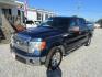 2014 Blue Ford F-150 FX2 SuperCrew 5.5-ft. Bed 2WD (1FTFW1CF8EF) with an 5.0L V8 engine, Automatic transmission, located at 15016 S Hwy 231, Midland City, AL, 36350, (334) 983-3001, 31.306210, -85.495277- Photo#2