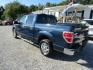 2014 Blue Ford F-150 FX2 SuperCrew 5.5-ft. Bed 2WD (1FTFW1CF8EF) with an 5.0L V8 engine, Automatic transmission, located at 15016 S Hwy 231, Midland City, AL, 36350, (334) 983-3001, 31.306210, -85.495277- Photo#5
