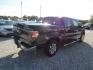 2014 Blue Ford F-150 FX2 SuperCrew 5.5-ft. Bed 2WD (1FTFW1CF8EF) with an 5.0L V8 engine, Automatic transmission, located at 15016 S Hwy 231, Midland City, AL, 36350, (334) 983-3001, 31.306210, -85.495277- Photo#7