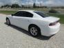 2019 White Dodge Charger SXT (2C3CDXBGXKH) with an 3.6L V6 DOHC 24V engine, Automatic transmission, located at 15016 S Hwy 231, Midland City, AL, 36350, (334) 983-3001, 31.306210, -85.495277- Photo#3