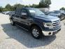 2013 Blue Ford F-150 XLT SuperCrew 6.5-ft. Bed 4WD (1FTFW1ET6DF) with an 3.5L V6 TURBO engine, Automatic transmission, located at 15016 S Hwy 231, Midland City, AL, 36350, (334) 983-3001, 31.306210, -85.495277- Photo#0