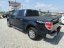2013 Blue Ford F-150 XLT SuperCrew 6.5-ft. Bed 4WD (1FTFW1ET6DF) with an 3.5L V6 TURBO engine, Automatic transmission, located at 15016 S Hwy 231, Midland City, AL, 36350, (334) 983-3001, 31.306210, -85.495277- Photo#5