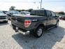 2013 Blue Ford F-150 XLT SuperCrew 6.5-ft. Bed 4WD (1FTFW1ET6DF) with an 3.5L V6 TURBO engine, Automatic transmission, located at 15016 S Hwy 231, Midland City, AL, 36350, (334) 983-3001, 31.306210, -85.495277- Photo#7