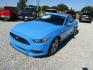 2017 Blue Ford Mustang V6 Coupe (1FA6P8AM3H5) with an 3.7L V6 DOHC 24V engine, Automatic transmission, located at 15016 S Hwy 231, Midland City, AL, 36350, (334) 983-3001, 31.306210, -85.495277- Photo#2