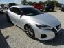 2020 Silver Nissan Maxima 3.5 SV (1N4AA6CV5LC) with an 3.5L V6 DOHC 24V engine, Automatic transmission, located at 15016 S Hwy 231, Midland City, AL, 36350, (334) 983-3001, 31.306210, -85.495277- Photo#0